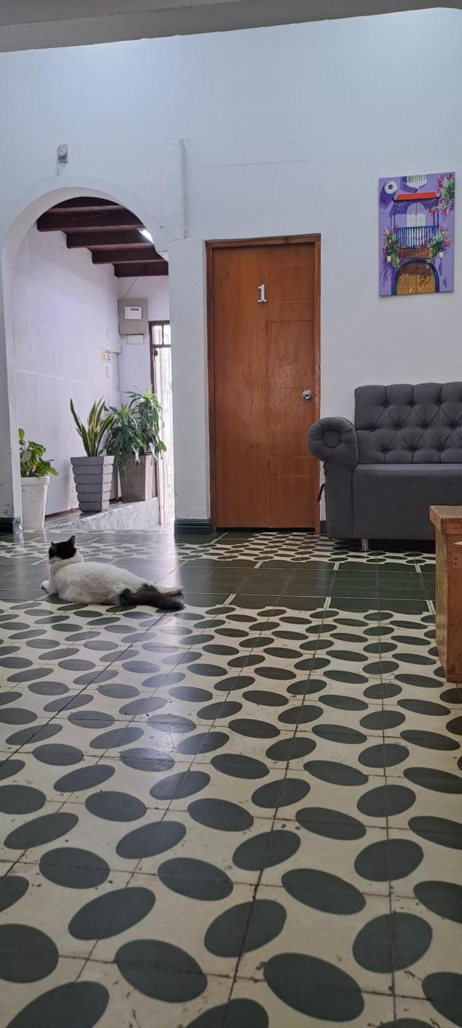 Hostal Casa Lara Cartagena Luaran gambar
